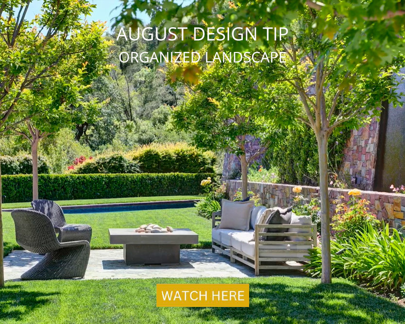 Organized Landscape: Design Tip