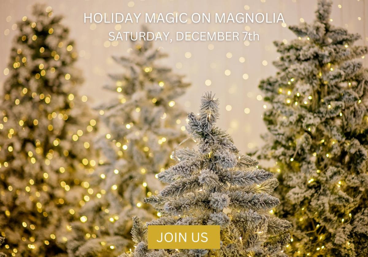 Magic on Magnolia