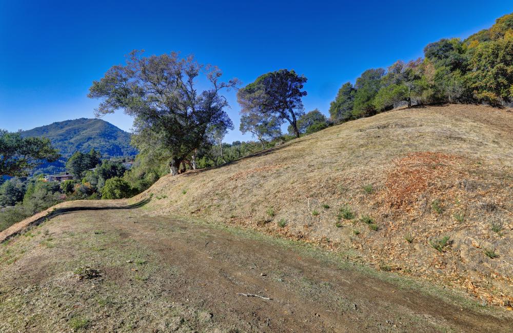 marin countryside