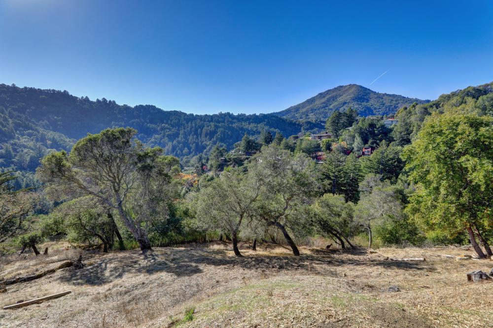 marin countryside