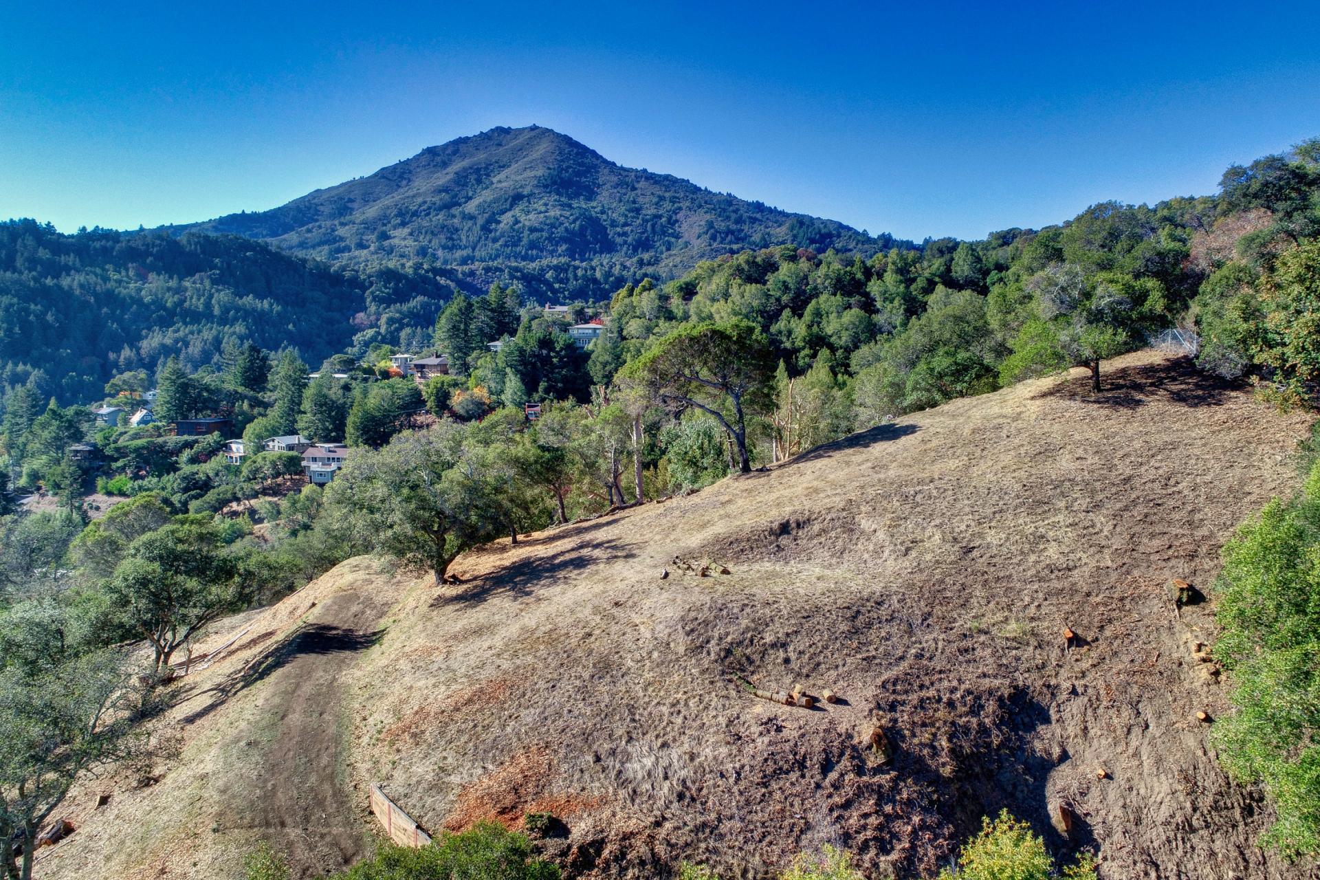 view of mt. tam