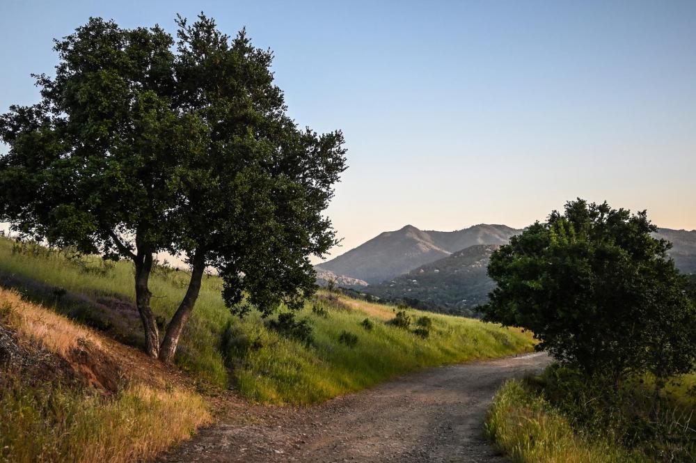 Path through Marin County hills