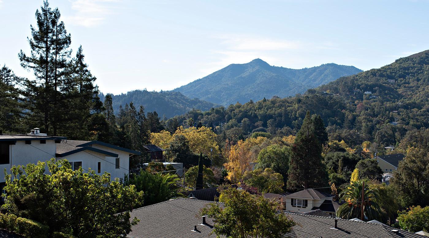 8 Greensburgh Lane, San Anselmo