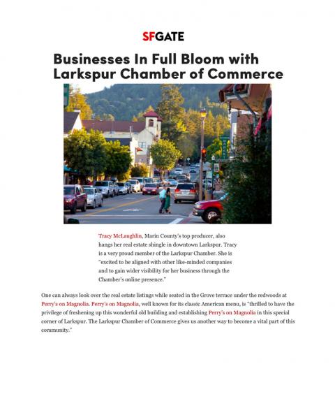Businesses In Full Bloom with Larkspur Chamber of Commerce